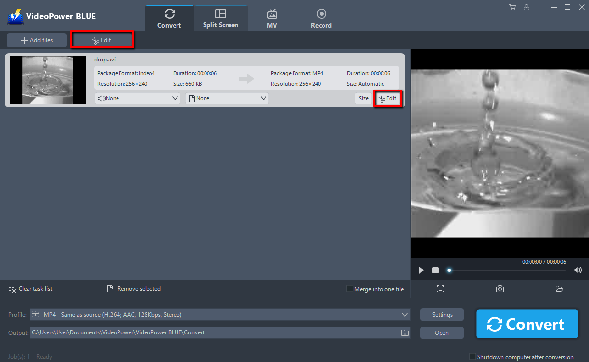 AVI to WebM Converter, VideoPower Blue, Edit