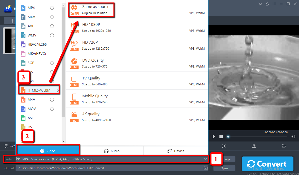 AVI to WebM Converter, VideoPower Blue, output format