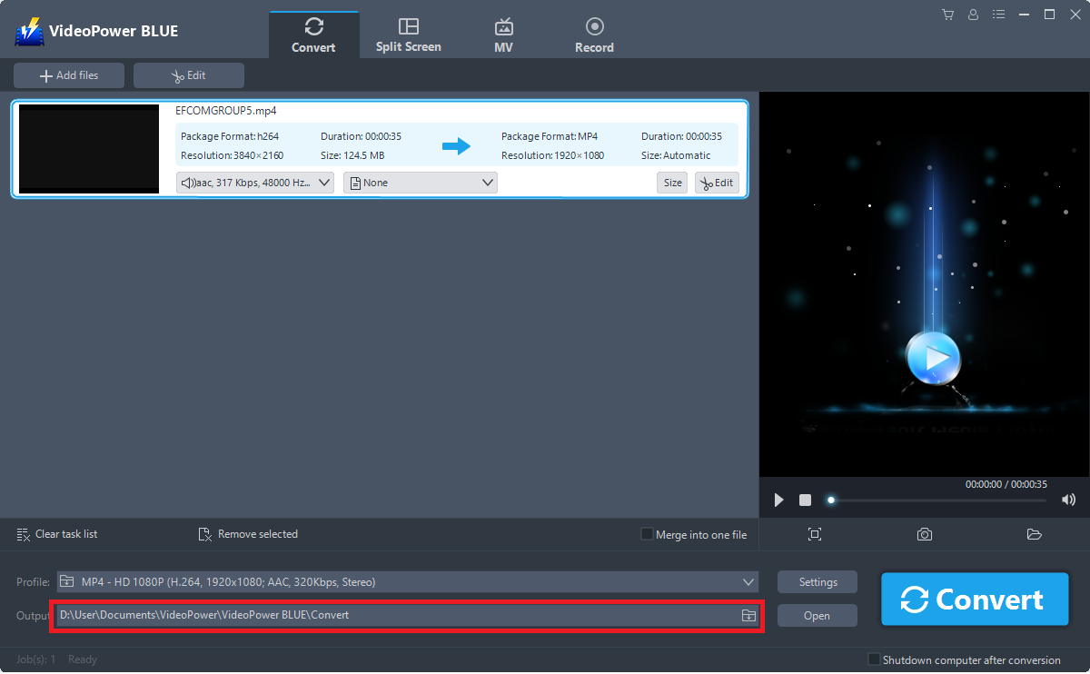 AVI to WebM Converter, VideoPower Blue, output format