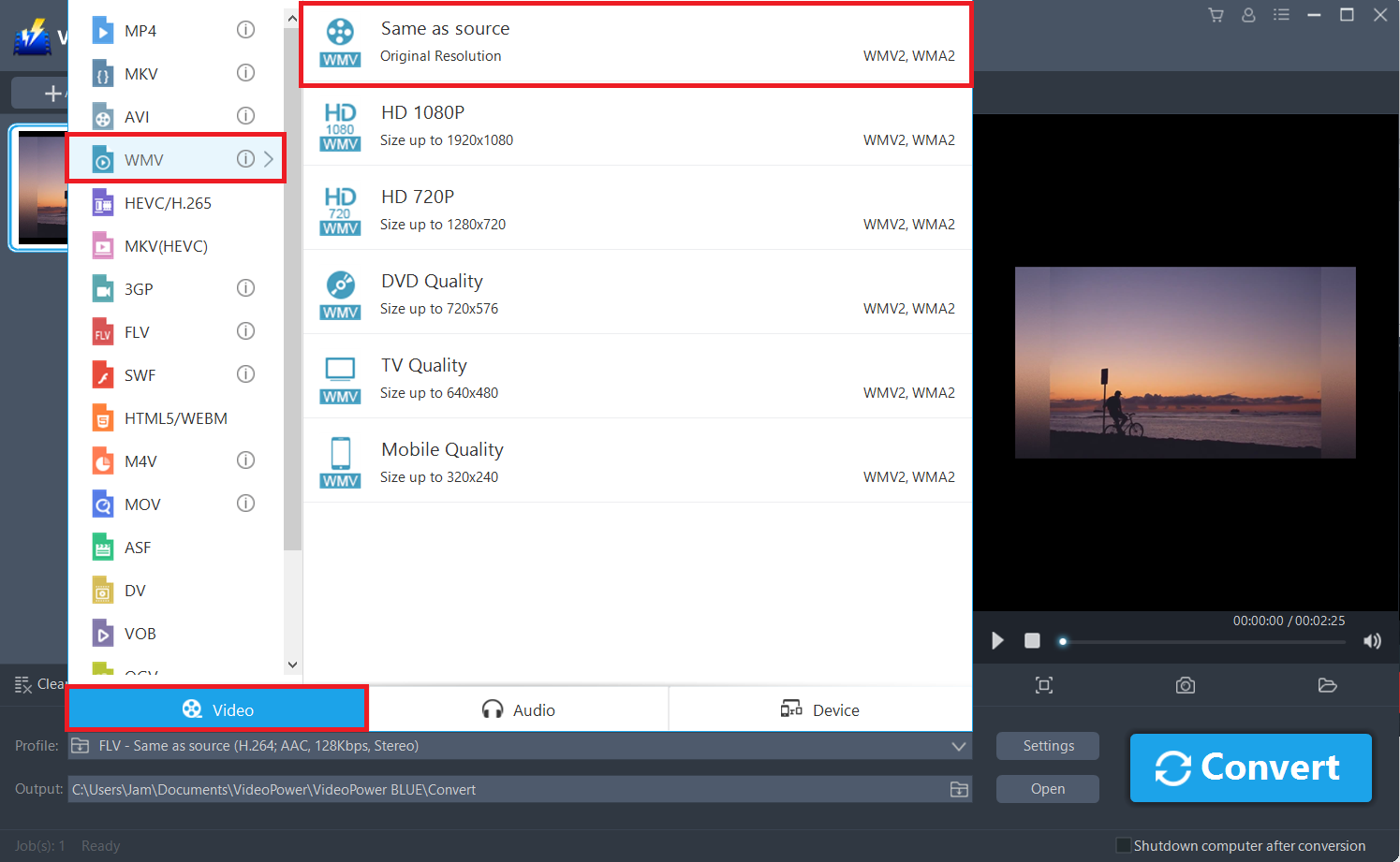 convert 3GP to WMV, VideoPower BLUE, output format