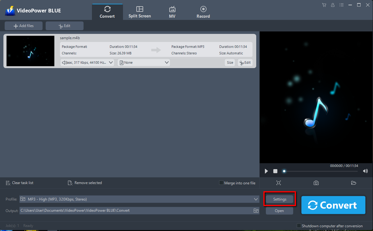 Best Video Converter Software, VideoPower BLUE, convert