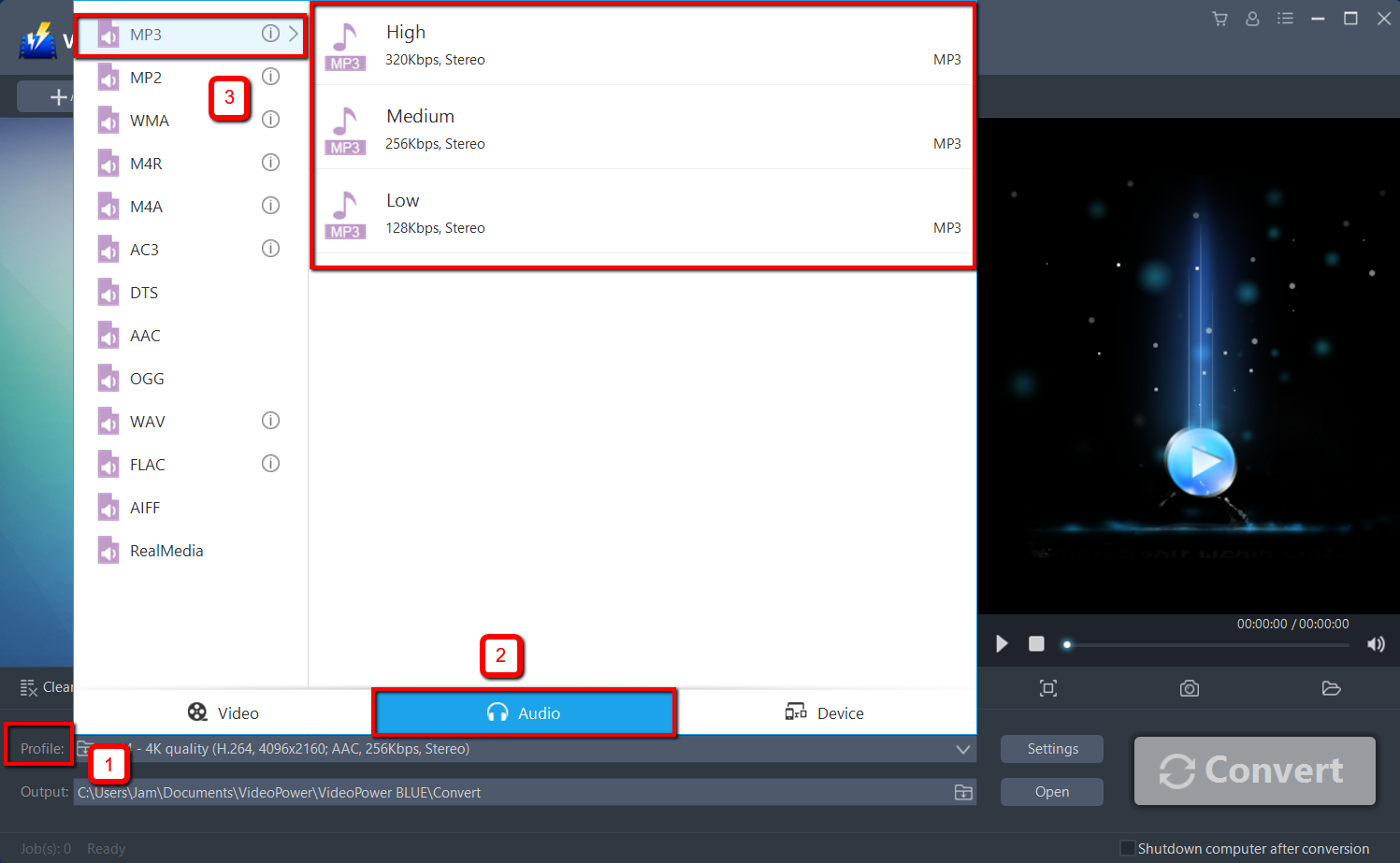 MP3にオーディオブックを変換し、ビデオパワーブルーは、オーディオフォーマットを選択します。