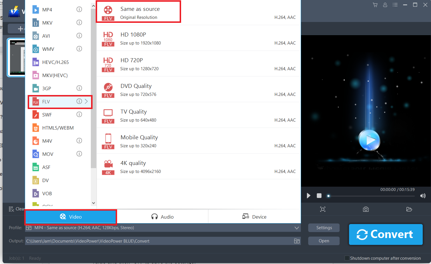MP4 to FLV Converter, VideoPower BLUE, output format