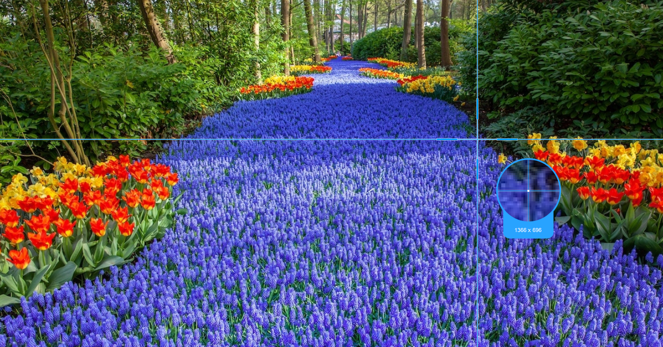 Snagit alternative, VideoPower GREEN, select region.