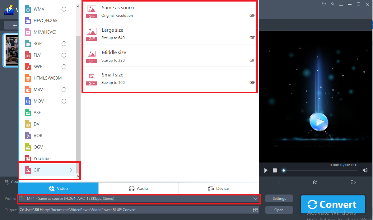 Create GIF for Facebook, VideoPower BLUE, output format