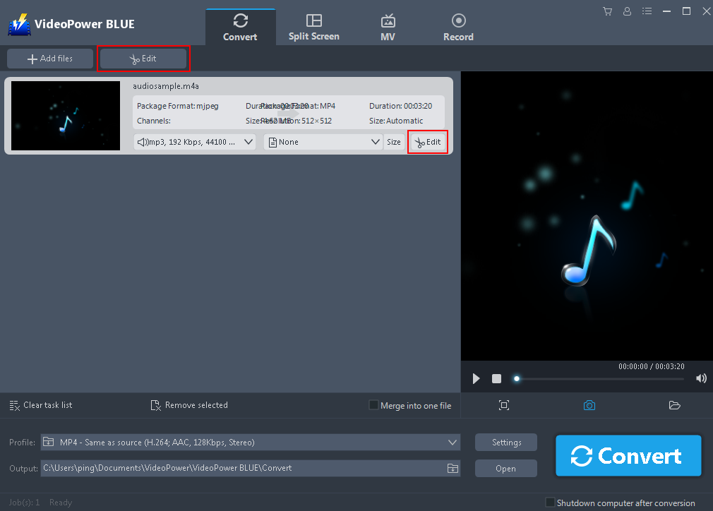 Audio Converter, VideoPower BLUE, Edit files