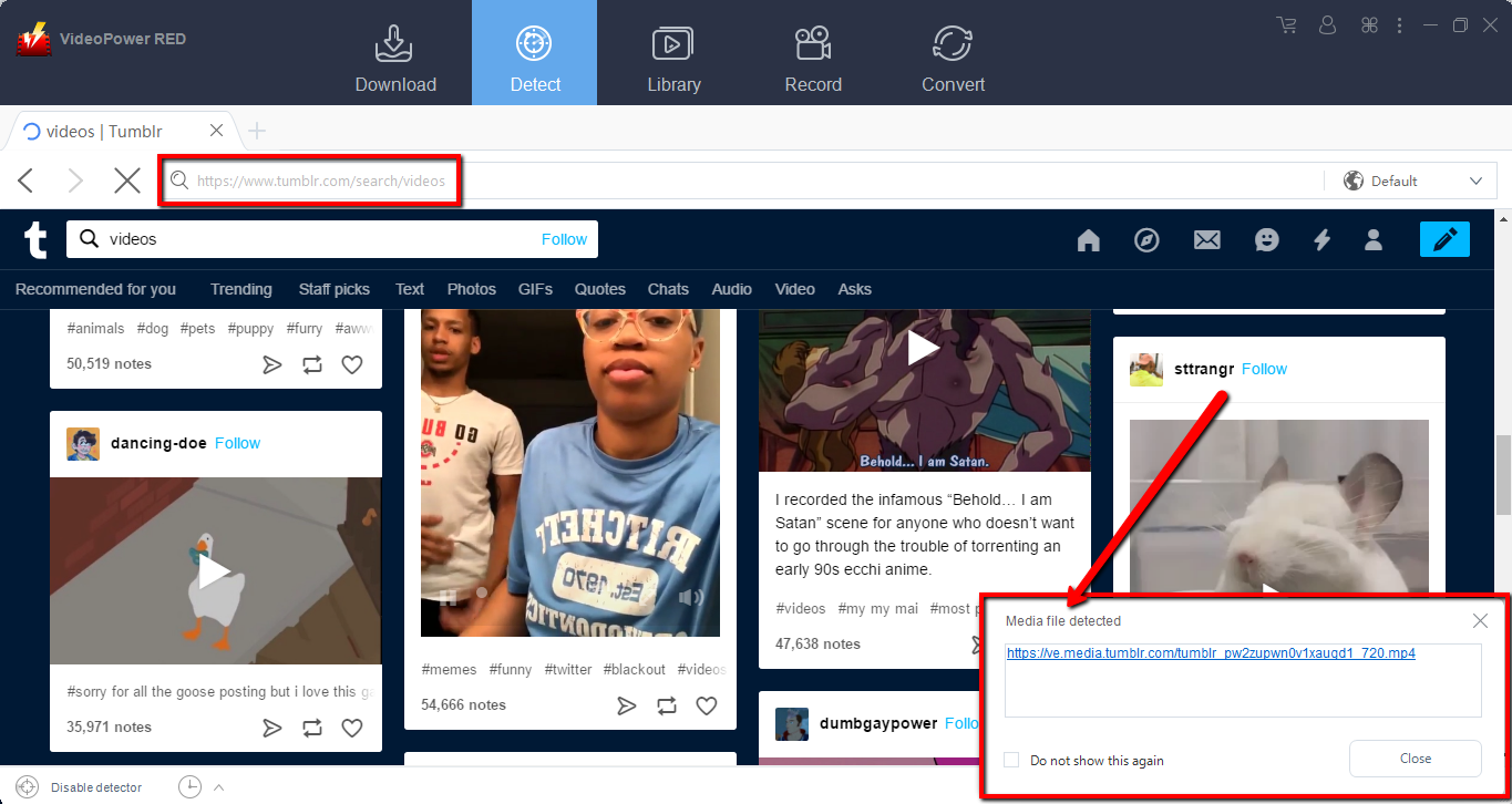 Tumblrビデオダウンローダー、ビデオダウンローダー、ビデオパワーレッド