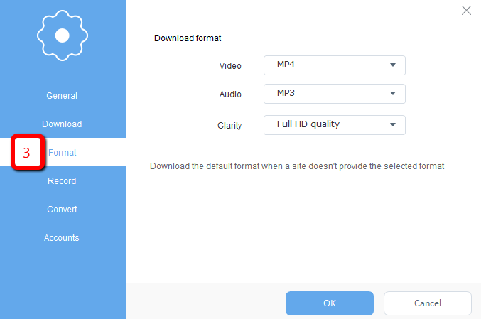 VideoPower RED, Format Settings 
